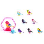 DUMEL DigiBirds z ramką sezon 2