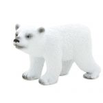 ANIMAL P. Młody niedźwiedź polarny