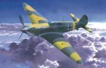 MASTERCRAFT  Yak 1 Luftwaffe