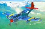MASTERCRAFT P51BC O.Italy