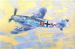 MASTERCRAFT BF109 G6R6 Bartels