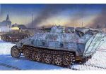 DRAGON Sd. Kfz. 25117 Ausf. D w2cm