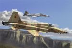HOBBY BOSS F5E Tiger II Fighter