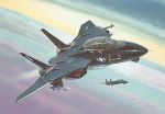 REVELL F14A Black Tomcat