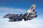REVELL F16 Mlu Tigermeet 2009