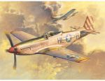 TRUMPETER P51D Mustang