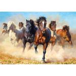 CASTOR 1000 EL. Kopia: Thunder and Dust