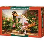 CASTOR 1000 EL. At The Rose Garden