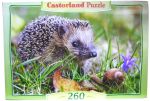 CASTOR 260 EL. JEŻ