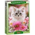 CASTOR 260 EL. Kotek Made of Fur