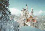 CASTOR 500 EL. NEUSCHWANSTEIN out 2011