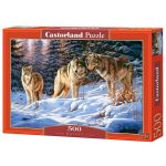 CASTOR 500 EL.Wilki