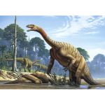 CASTOR 500 EL. Plateosaurus