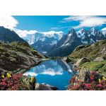 CLEMENTOPNI 3000 EL. Chamonix dolina