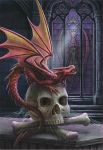 EDUCA 500 EL. DRAGON LORD ANNE STOKES