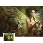 HEYE 2000 EL. Fairies, M. Delon