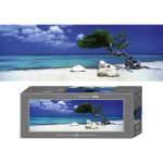 HEYE 1000 EL. Divi Divi Tree,