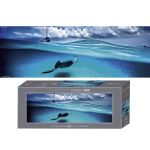 HEYE 1000 EL. Stingray, Edition Humboldt