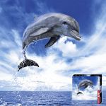 HEYE 1000 EL. Delfin