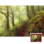 HEYE 1000 EL. Magic Forests, Path