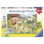 RAVEN. 2X24 EL. Zwierzęta na Farmie