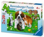RAVEN. 2X20 EL. ZWIERZĘTA DOMOWE