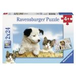 RAVEN. 2X24 EL. Prawdziwi Przyjaciele
