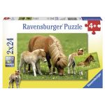 RAVEN. 2X24 EL. Cudowne Koniki Pony