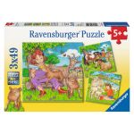 RAVEN. 3X49 EL. Moje Ulubione Zwierząta
