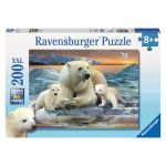 RAVEN. 200 EL. Misie Polarne