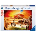 RAVEN. 3000 EL. Masajowie, Sawanna