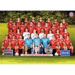 RAVEN. 1000 EL. FC Bayern 201314