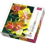 TREFL 1000 EL. Nature Orchidea