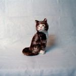 ROXI Kot brązowy 22 cm