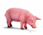 SCHLEICH STOJĄCY PROSIAK