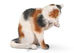 SCHLEICH KOT MYJĄCY SIĘ new 2011