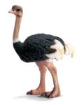 SCHLEICH STRUŚ