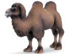 SCHLEICH WIELBŁĄD DWUGARBNY