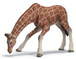 SCHLEICH ŻYRAFA SAMICA U WODOPOJU new 09
