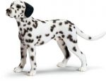 SCHLEICH DALMATYŃCZYK STOJACY