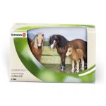 SCHLEICH Sceneria, Rodzina Dartmoor