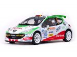 SUN STAR Peugeot 207 S2000 #1 E.G Ojeda